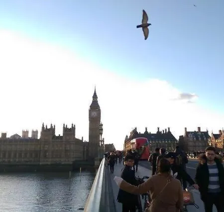 Appartement Sarinelli House Big Ben Moments à Londres Extérieur photo