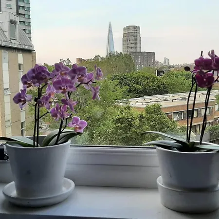Appartement Sarinelli House Big Ben Moments à Londres Extérieur photo